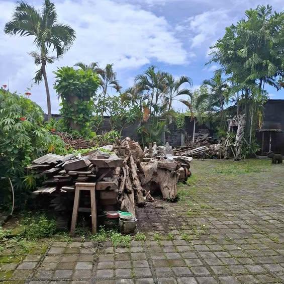 Studio house in Badung — photo 1