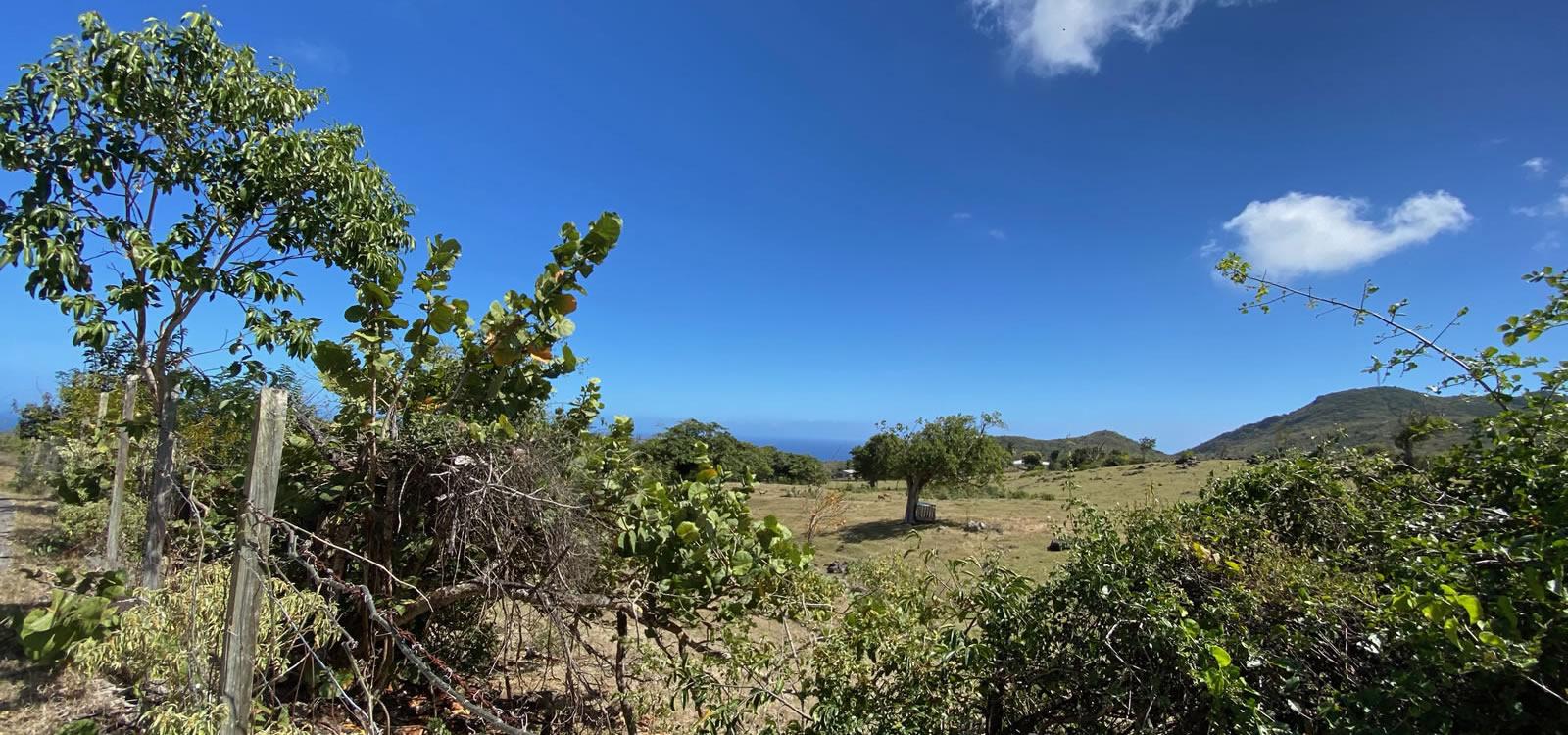 11 Acres of Land for Sale, Gingerland, Nevis — photo 2