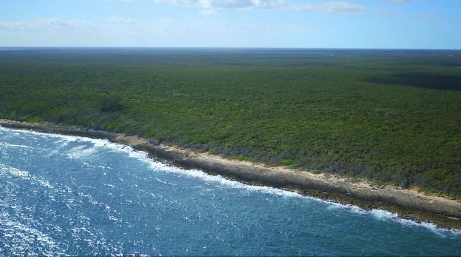 20-acre beachfront property in Nicholl's Town, Andros, The Bahamas — photo 5