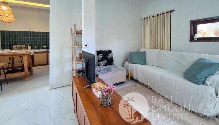 4 BEDROOM MODERN VILLA IN SANUR FOR SALE — photo 2