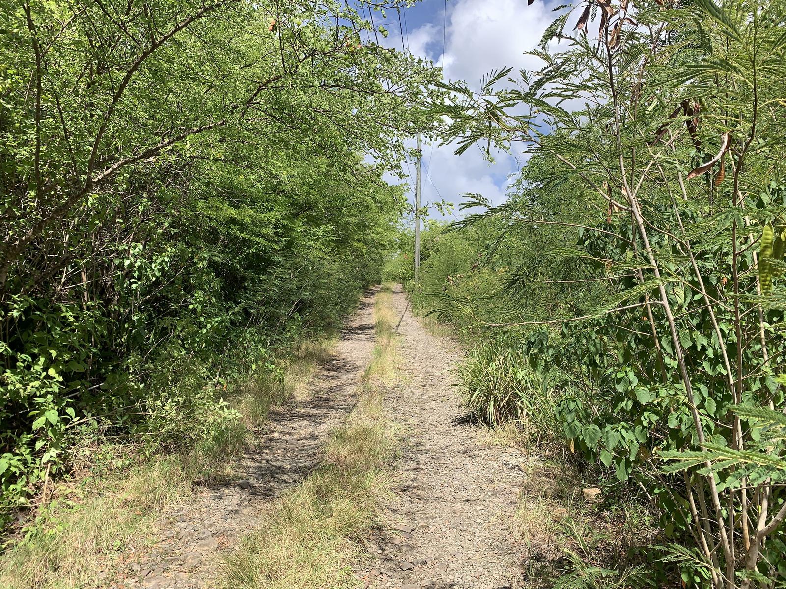Near Beach - Tranquil Residential Lot for Sale in Trouya, Gros-Islet, Saint Lucia — photo 3
