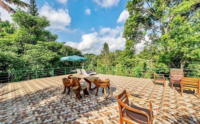 12-bedroom land in Ubud — photo 2