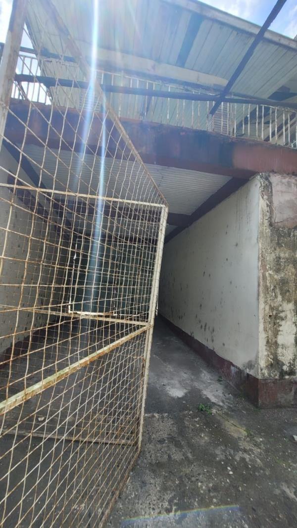 Commercial Fixer upper Preysal Busy road — photo 1
