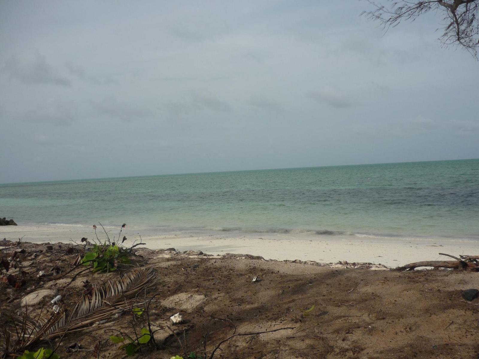 1.020 ACRES MANGROVE CAY — photo 1