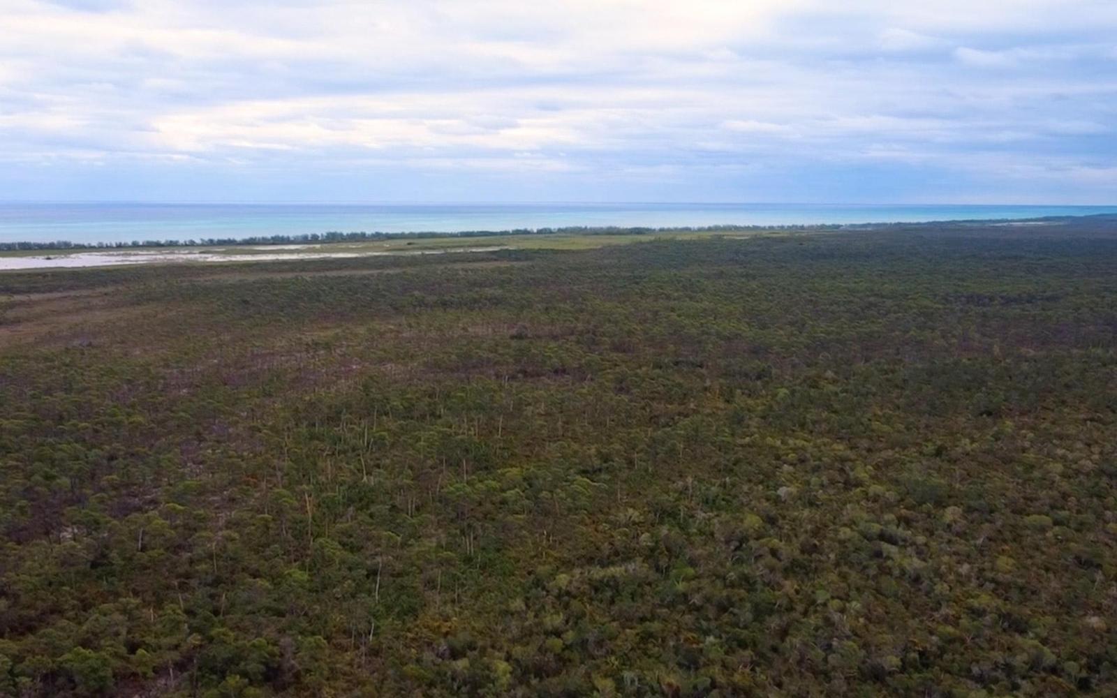 4.685 Acres Development Land — photo 4