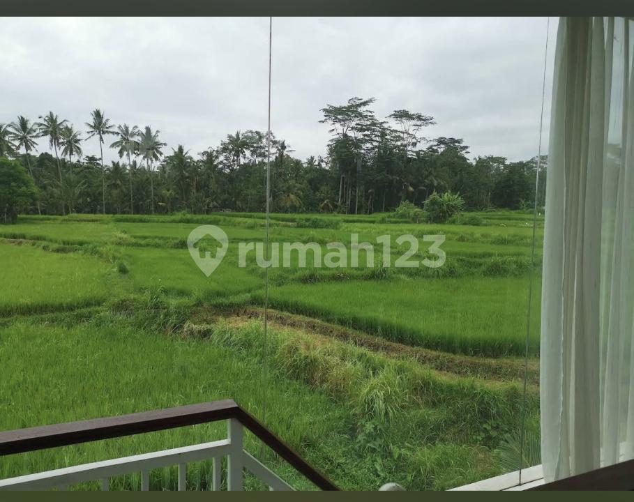 4-bedroom villa in Gianyar with rice field view — photo 2