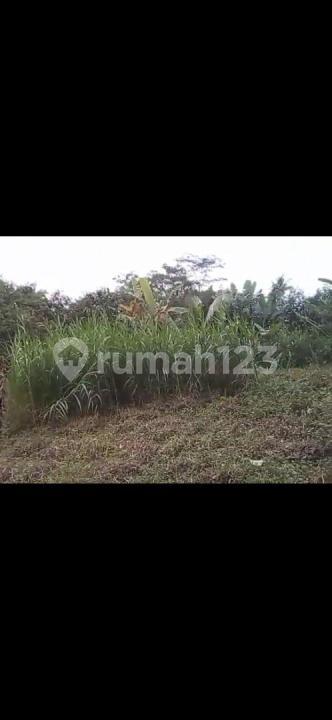 Super Cheap Land North Taro Ubud Ready to Build — photo 5