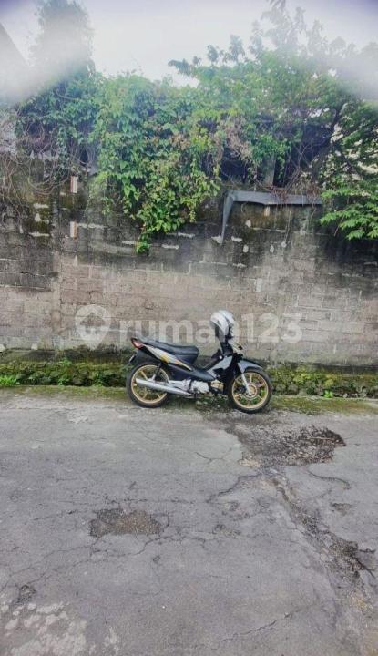 Land for sale in Bali, Indonesia. — photo 2