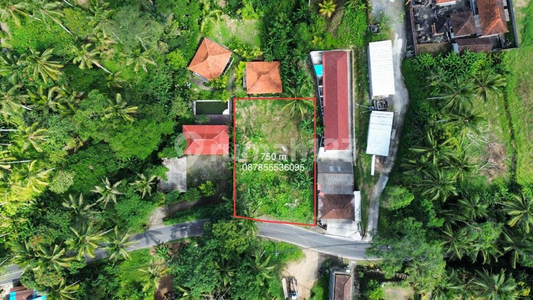 750 sqm land plot in Ubud, close to Capella Ubud — photo 1