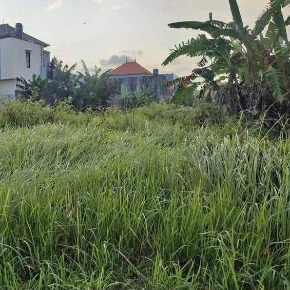 Studio house in Denpasar — photo 1