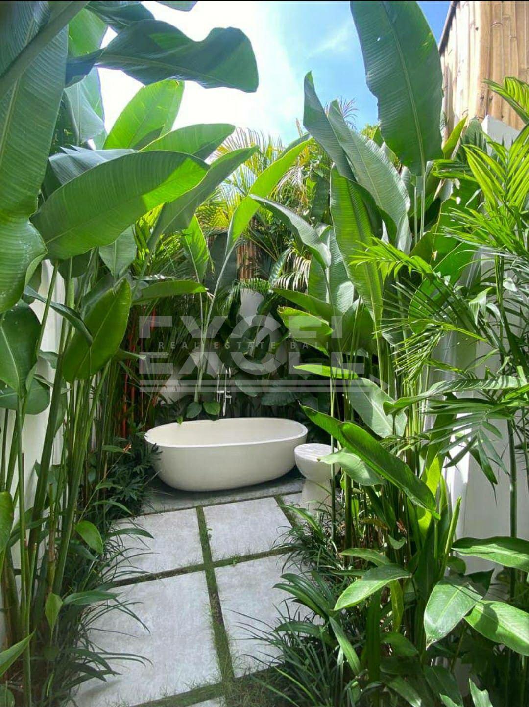 Premium Beach Villa for Yearly Rental in Batu Bolong Canggu — photo 4