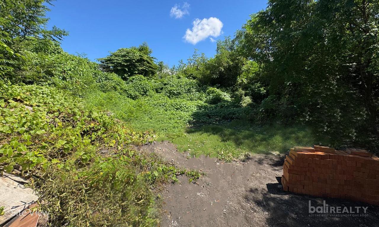 High-Potential Pink Zone Plot in Sanur – 2,500sqm Development-Ready Site — photo 4