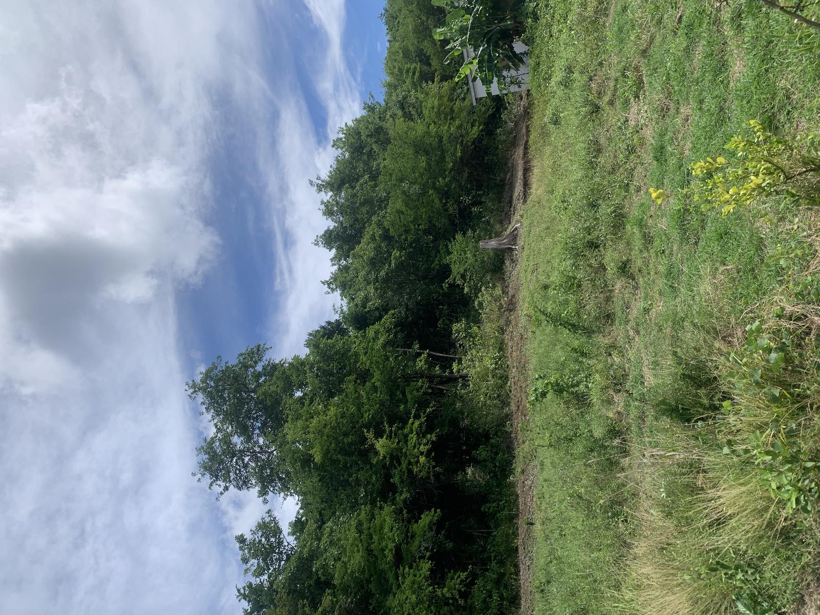 Affordable Land with Views in Growing Monchy Neighbourhood — photo 3