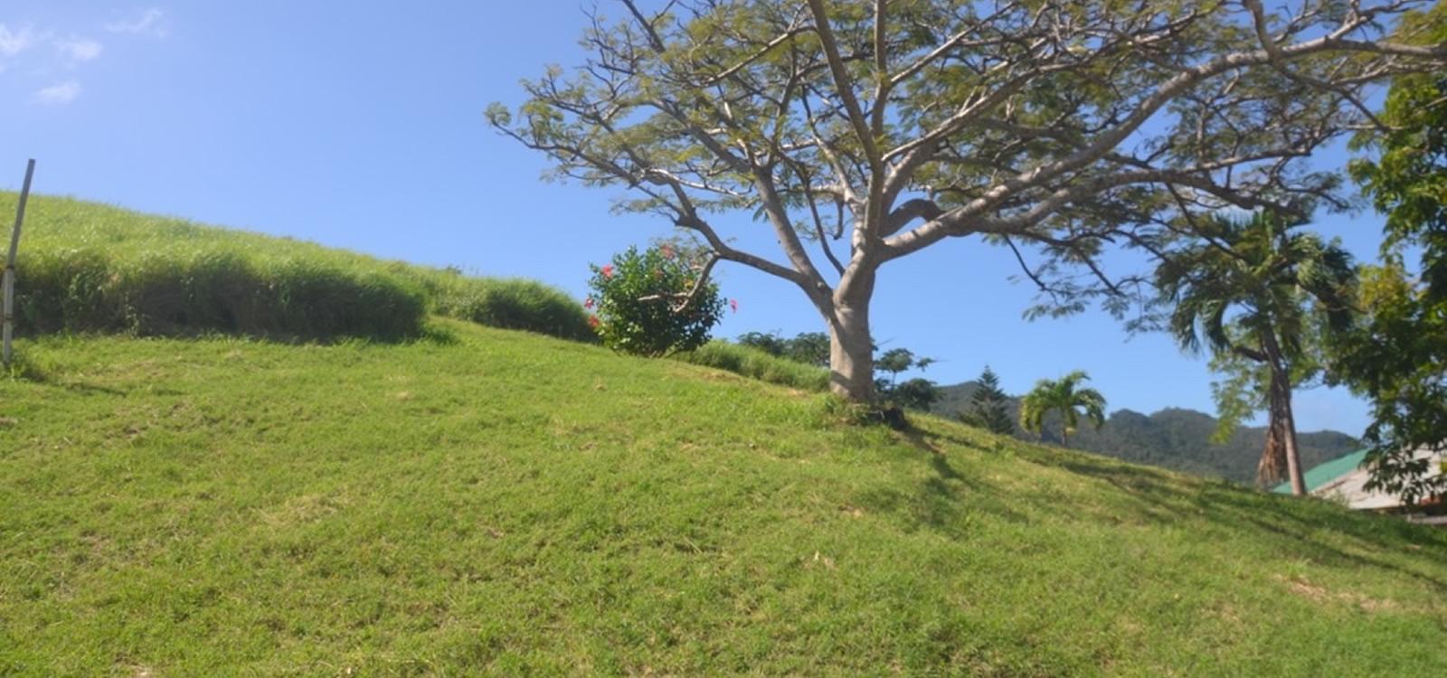 2.06 Acre Estate with 3 Bedroom Home and 2 Bedroom Cottage for Sale, Lower Bay, Bequia — photo 5