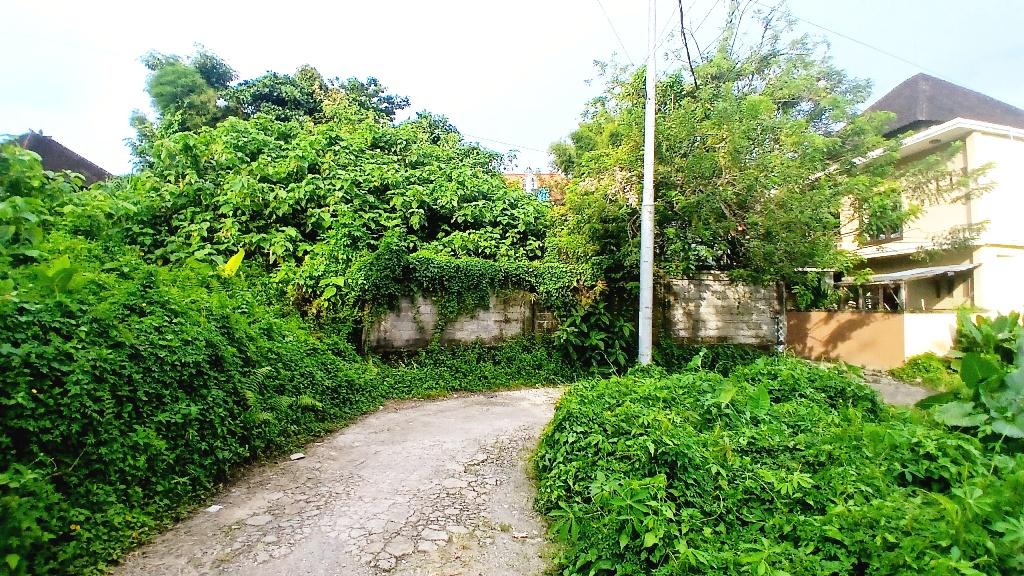 Prime Freehold Land with Existing Villa Near Central Ubud – Jalan Andong, Petulu — photo 4