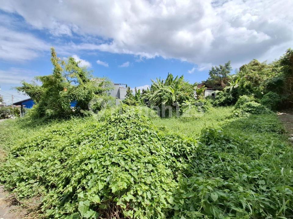 Premium land for sale in Pererenan, Canggu, Bali — photo 2