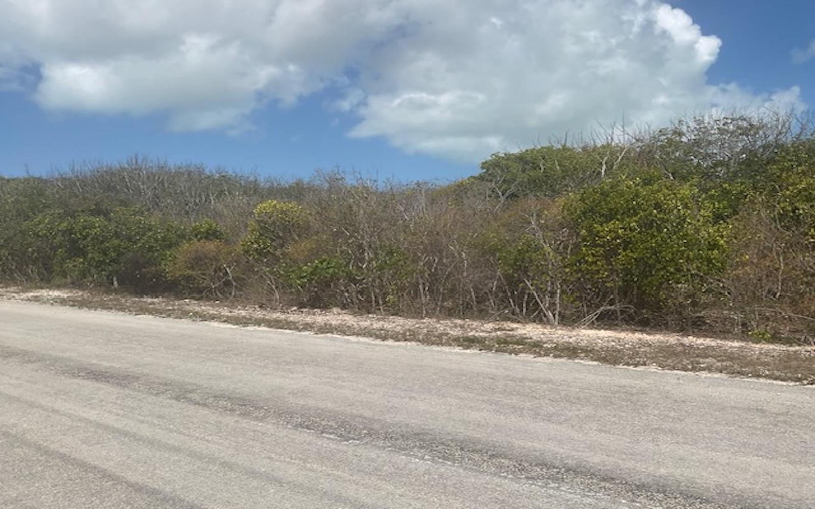 Scrub Hill Lot — photo 5