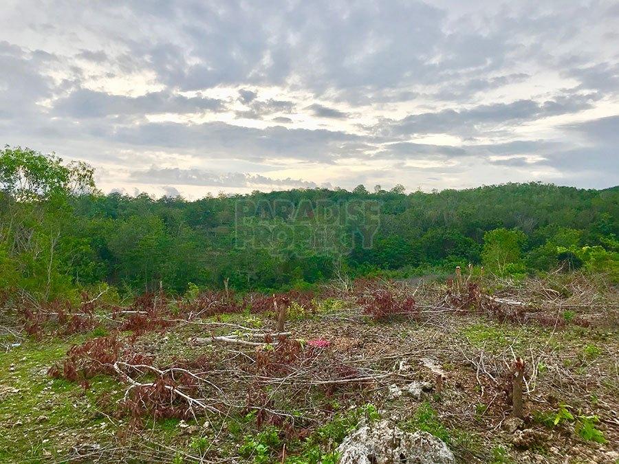 Perfect Freehold Land Plot for Sale in Jimbaran — photo 5