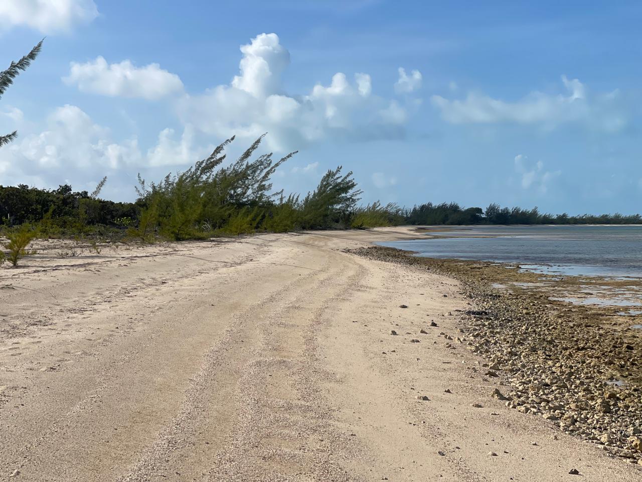 BEACHFRONT WEMYSS LI in Long Island, The Bahamas — photo 3