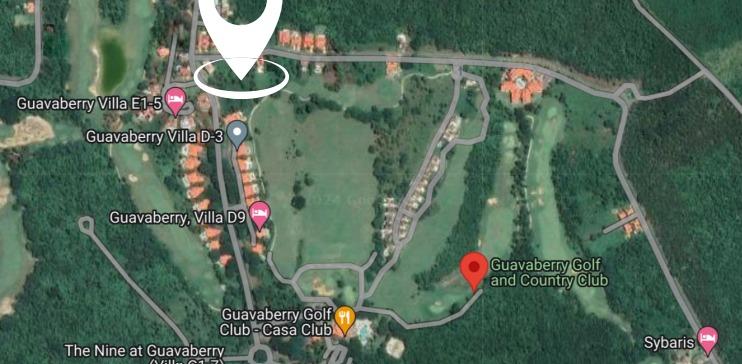 Guavaberry Golf & Country Club 0.10 Acre Lot — photo 3