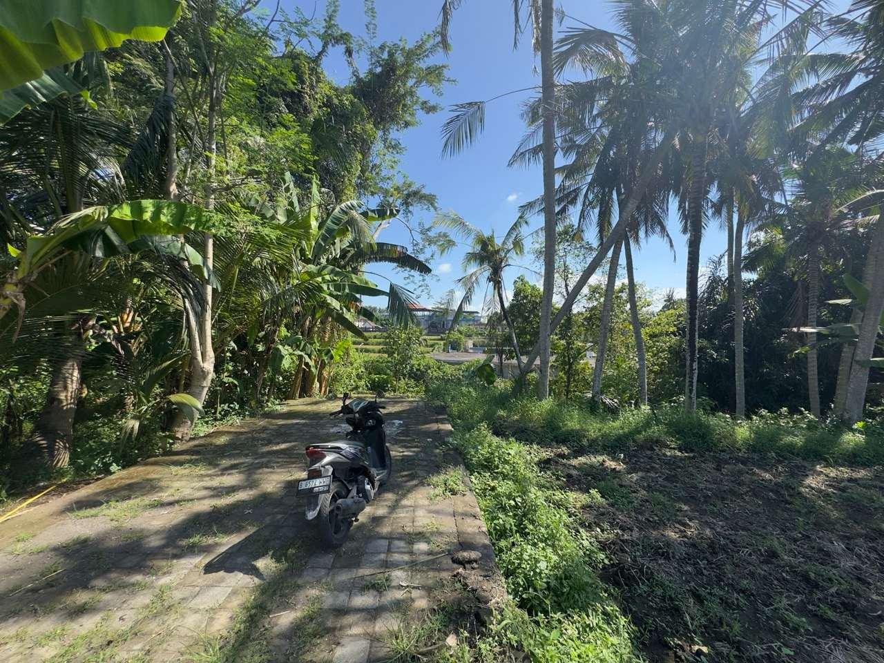 Land for Sale with River View – Blahbatuh, Gianyar, Bali — photo 2
