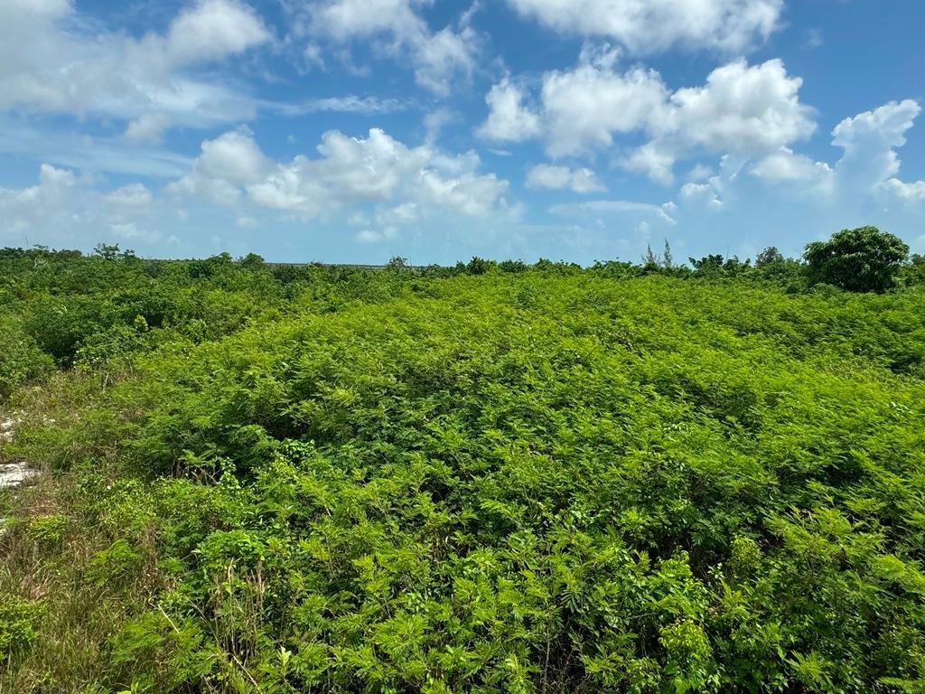 38B SWEETINGS CAY — photo 2