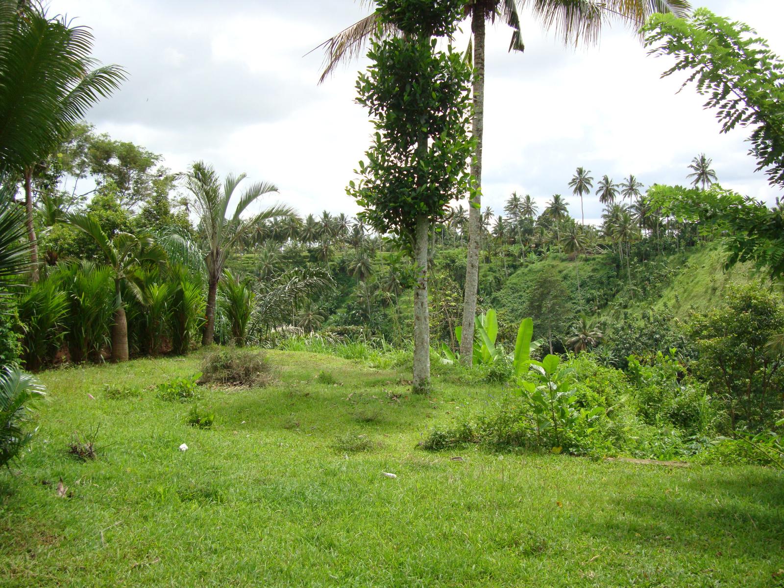 Prime Development Land for Sale Near Campuhan Ridge Walk, Ubud, Bali, Indonesia — photo 1