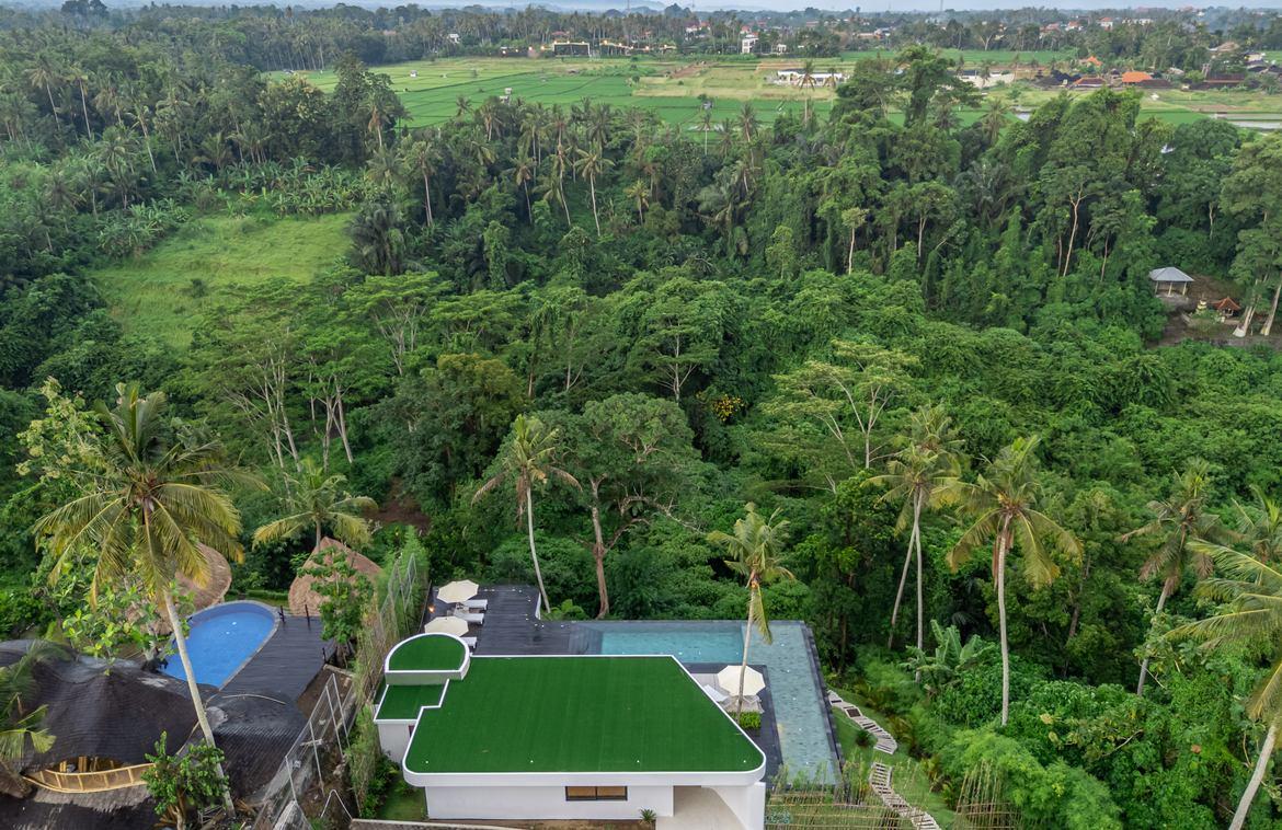 Stunning Valley View Villa in Tranquil Ubud Setting — photo 3