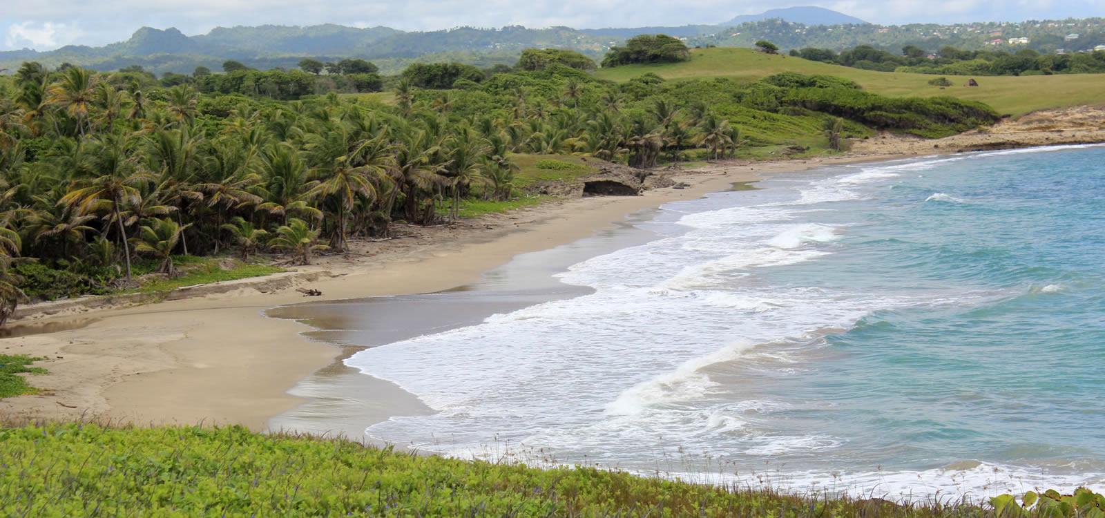 Oceanfront land for sale on the Peninsula in Moule a Chique, Vieux Fort — photo 1