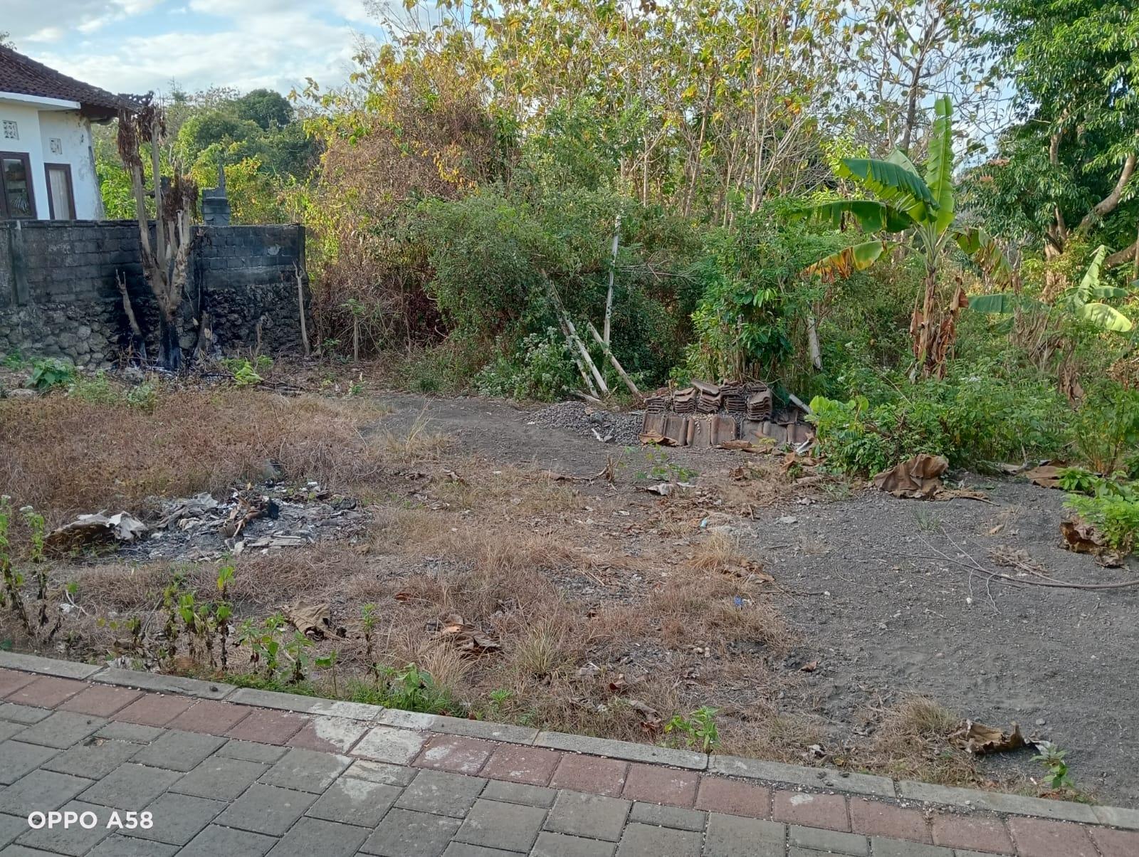 Strategic Freehold Land in Ungasan Near Pecatu Graha — photo 1