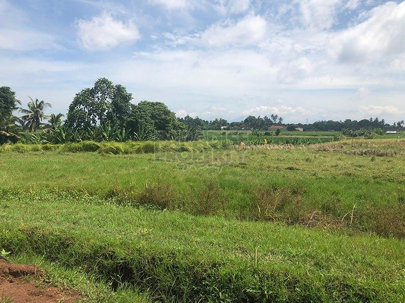 Prime Land Investment Opportunities in Kedungu / Invest Now!!! — photo 3