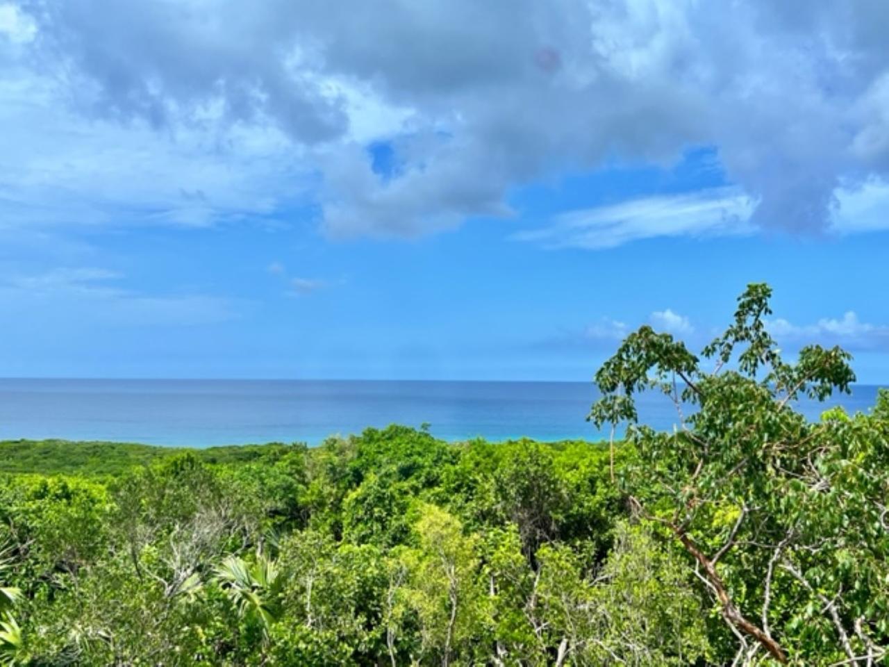 2 bedroom Residence for sale – ELEUTHERA ISLAND SHORES — photo 3