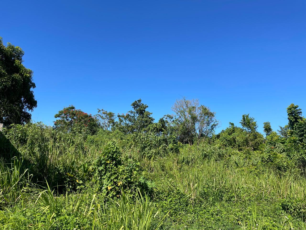 OCEAN RIDGE St. Mary Tower Isle Lot/Land — photo 4