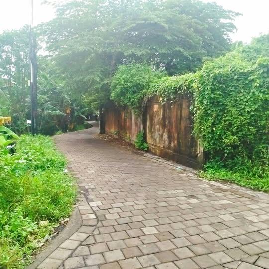 Land for sale in Denpasar — photo 1