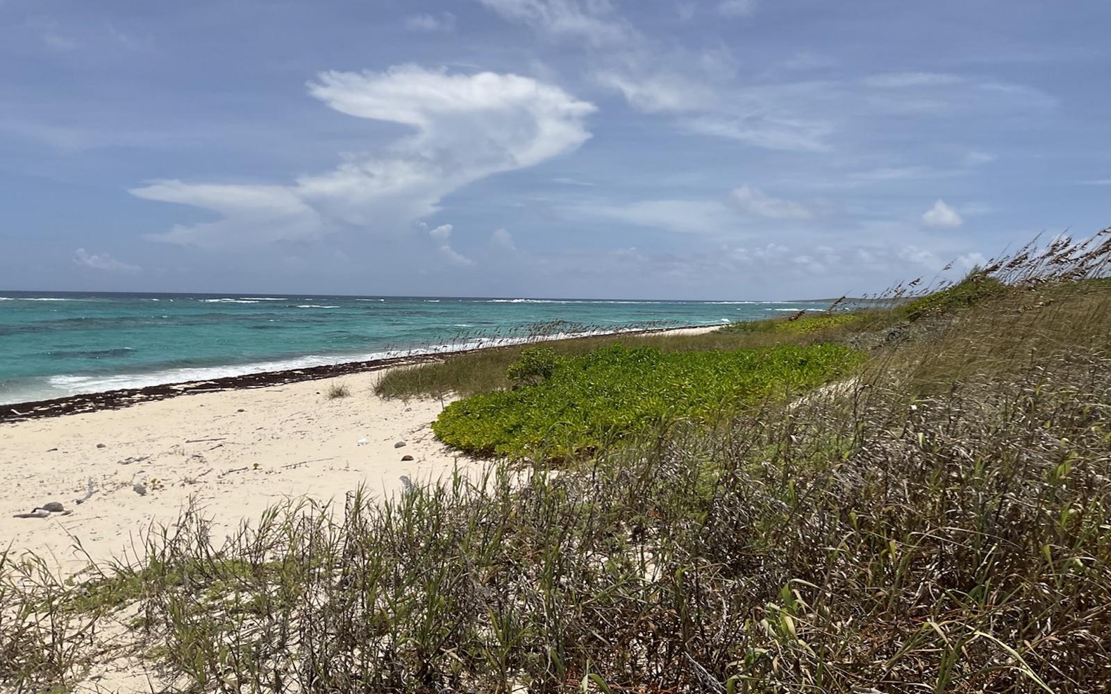 Beachfront Lot, 29.82 Acre — photo 1