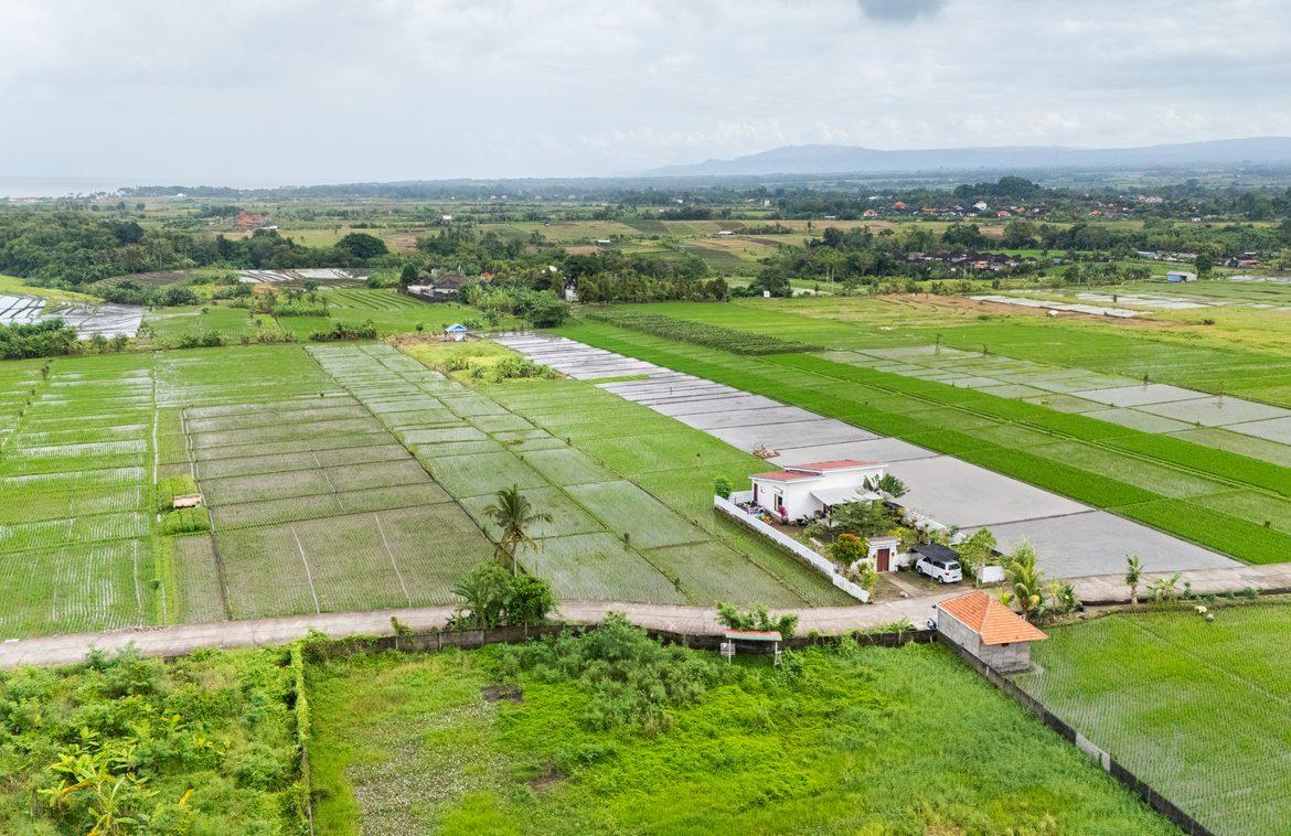 Tranquil Rice Field Land Near Beach in Kelating — photo 1