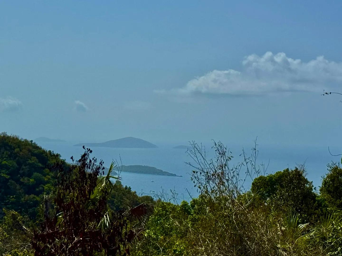 20-2a Carolina — photo 2