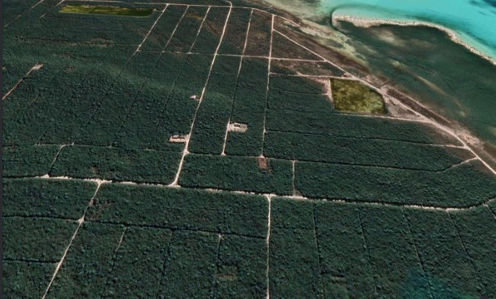 146A BAHAMA ACRES — photo 4