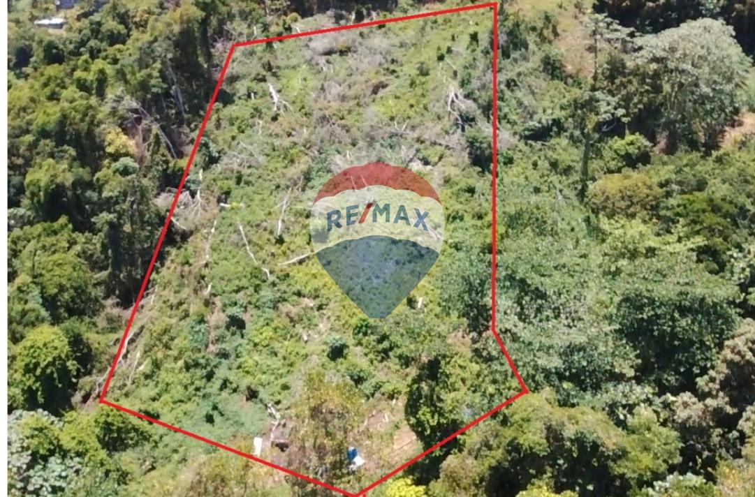 BELMONT 1-ACRE LOT — photo 1
