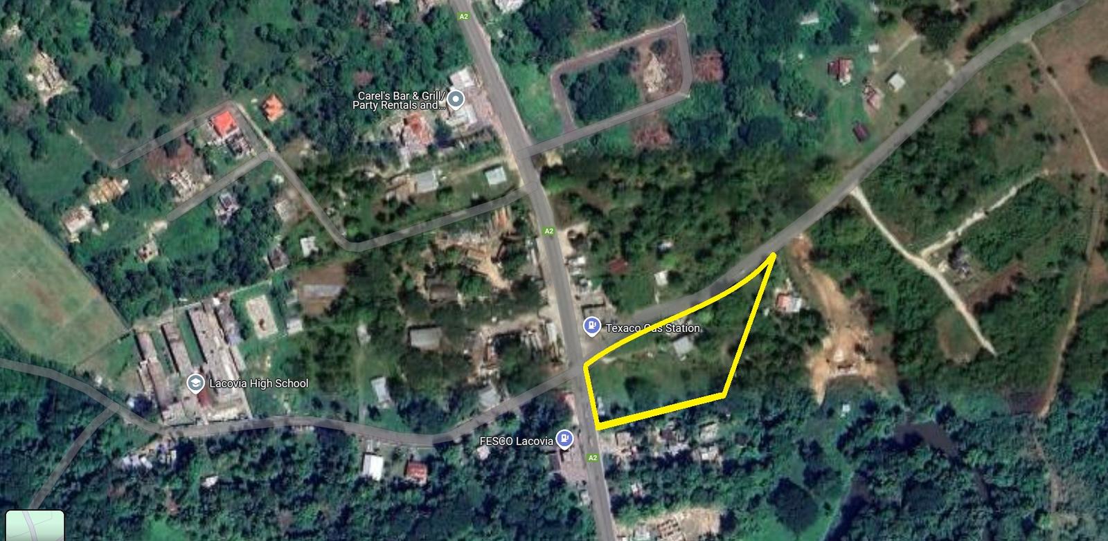 TOMBSTONE St. Elizabeth Lacovia Land for Sale — photo 1