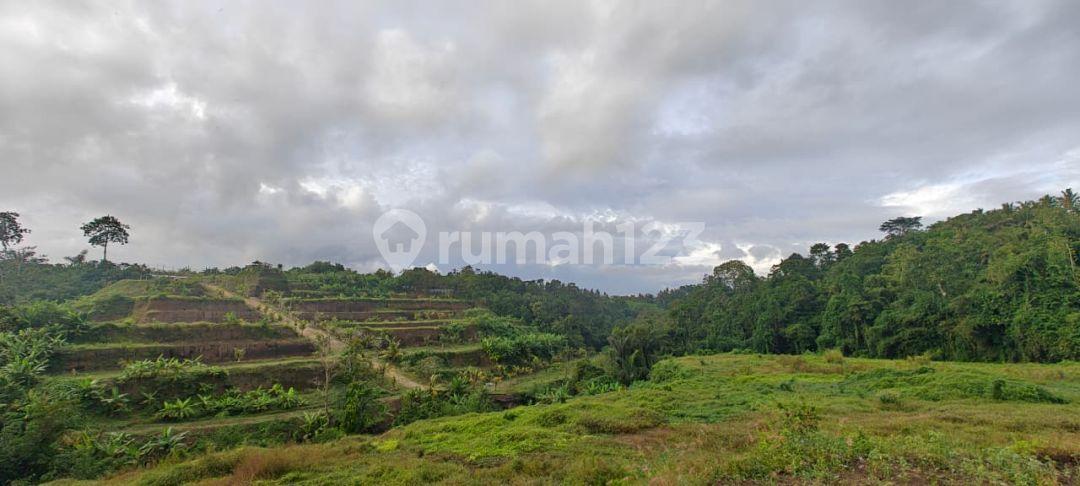 2-bedroom house in Tabanan, Bali — photo 4