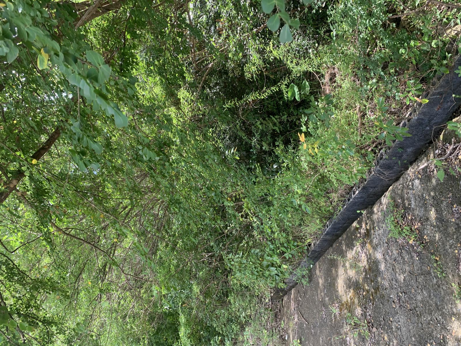 Affordable Land with Views in Growing Monchy Neighbourhood — photo 2