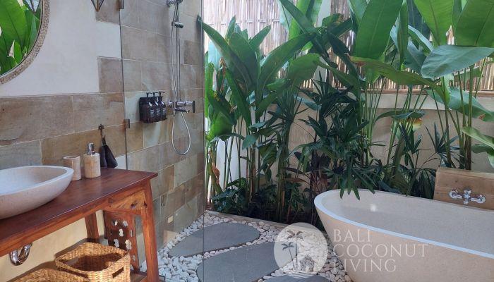 1-bedroom villa in Balangan — photo 5