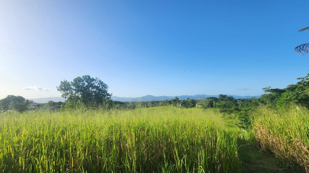 Scenic Residential Land for Sale Las Lomas — photo 2