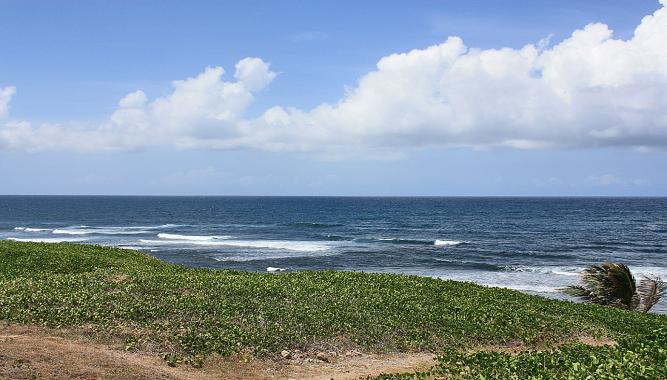 5 Acres Oceanfront Land for Sale, St James, Nevis — photo 3