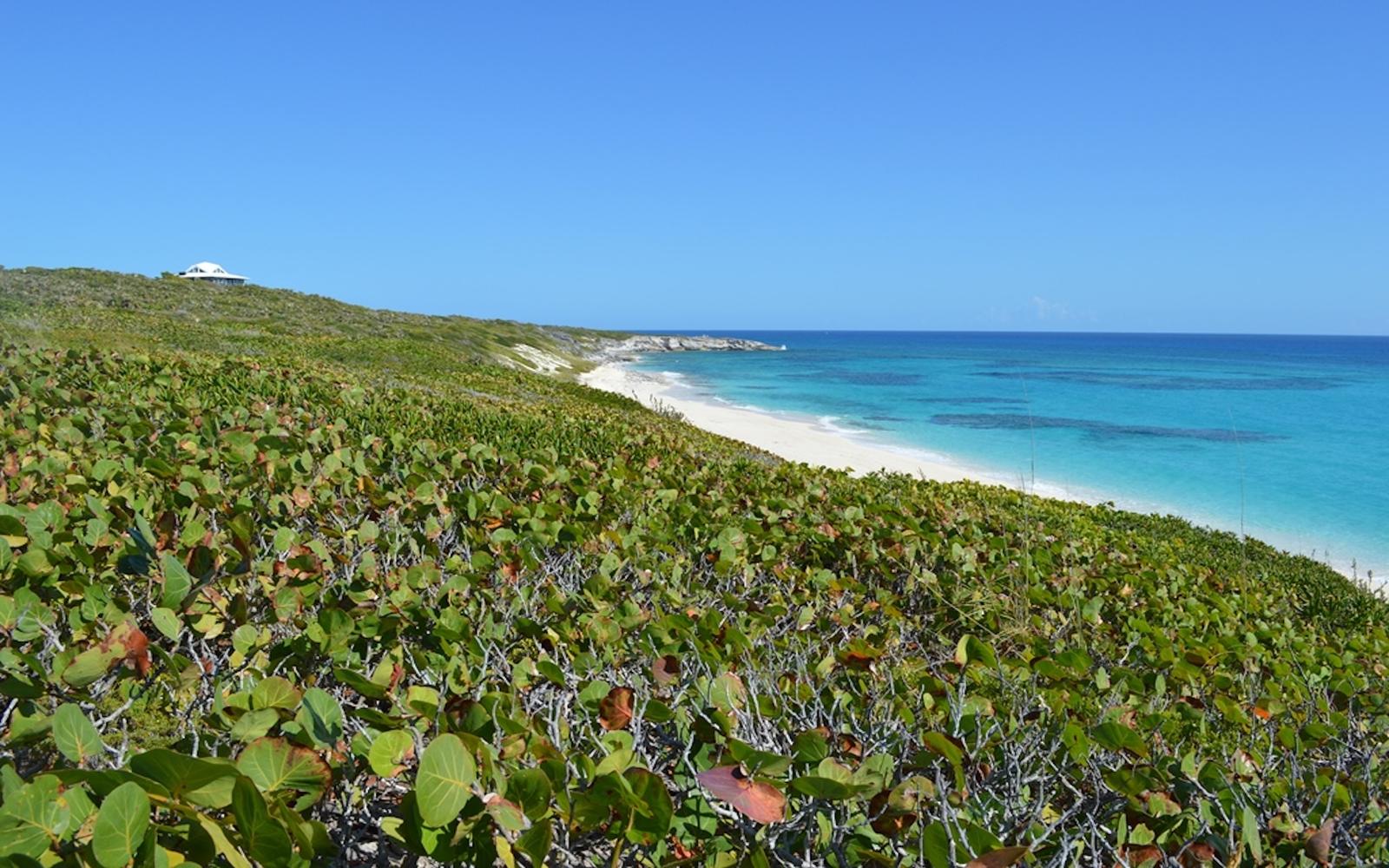 2.1 Acre Beachfront Parcel with Dockage - MLS 66225 — photo 3