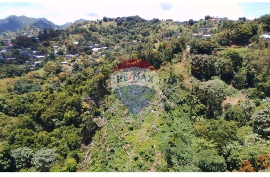 BELMONT 1-ACRE LOT — photo 4