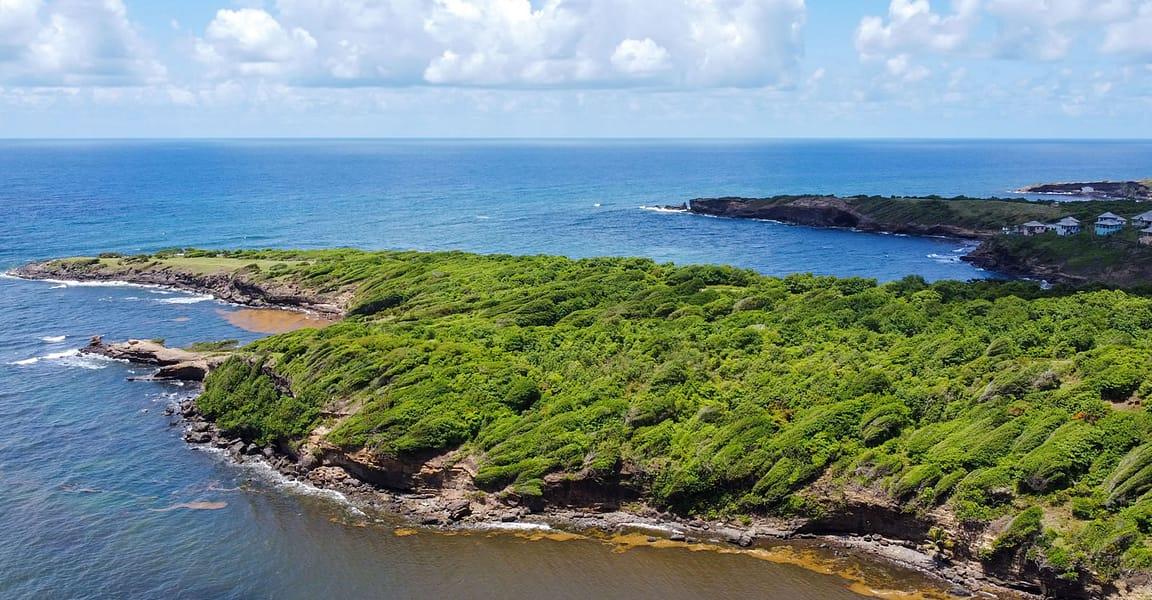 9.2 Acres Beachfront Land for Sale in Crochu, St David's, Grenada — photo 5
