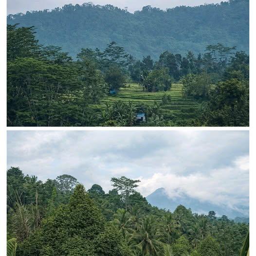 Land plot in Denpasar, Bali — photo 1