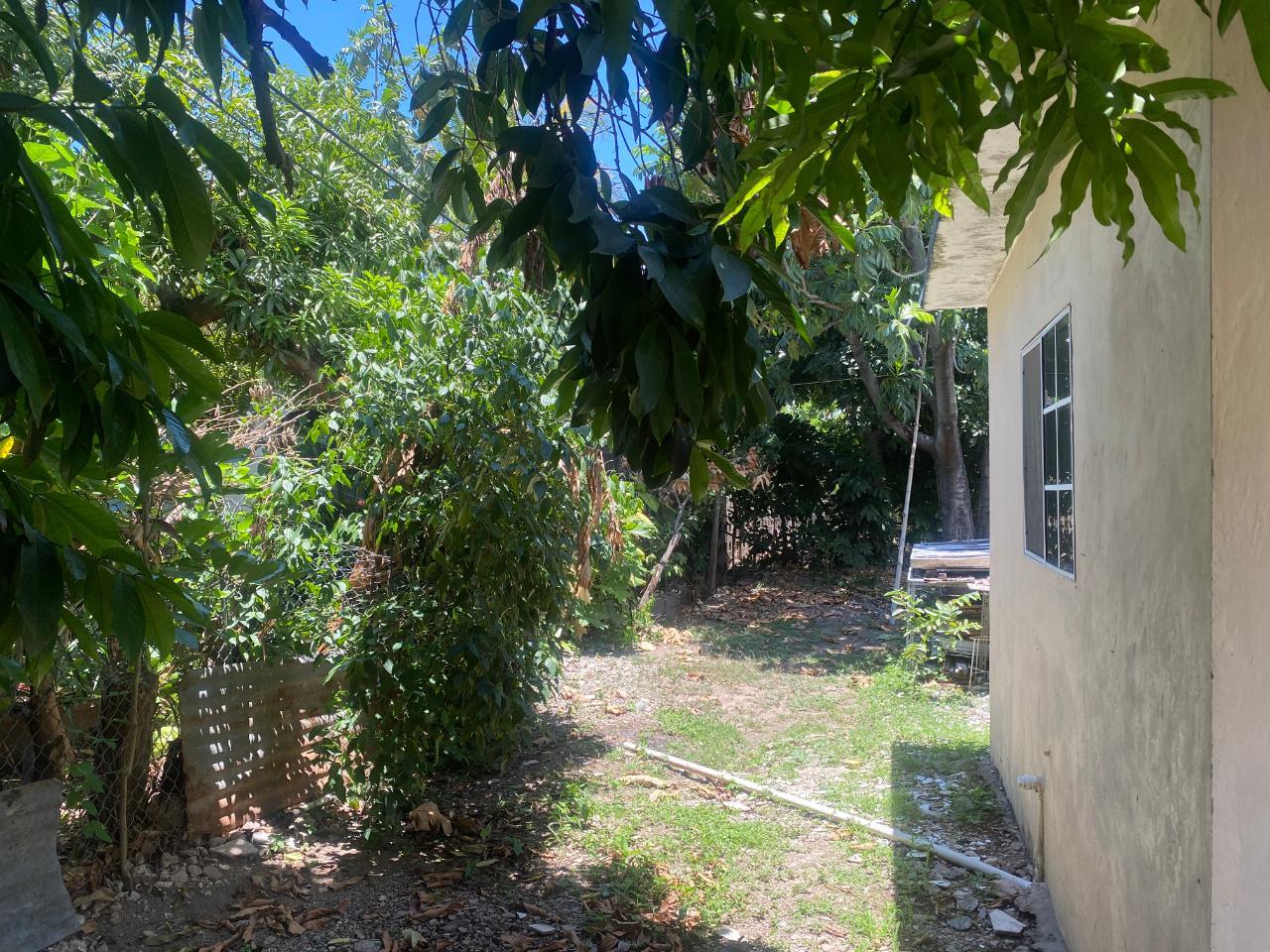 PALMETTO AVENUE MONA Kingston & St. Andrew Kingston 6 — photo 5
